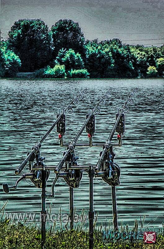 MeetCarp Romanian Awards 2013 (3) - 1017471hdrmode2-2.jpg